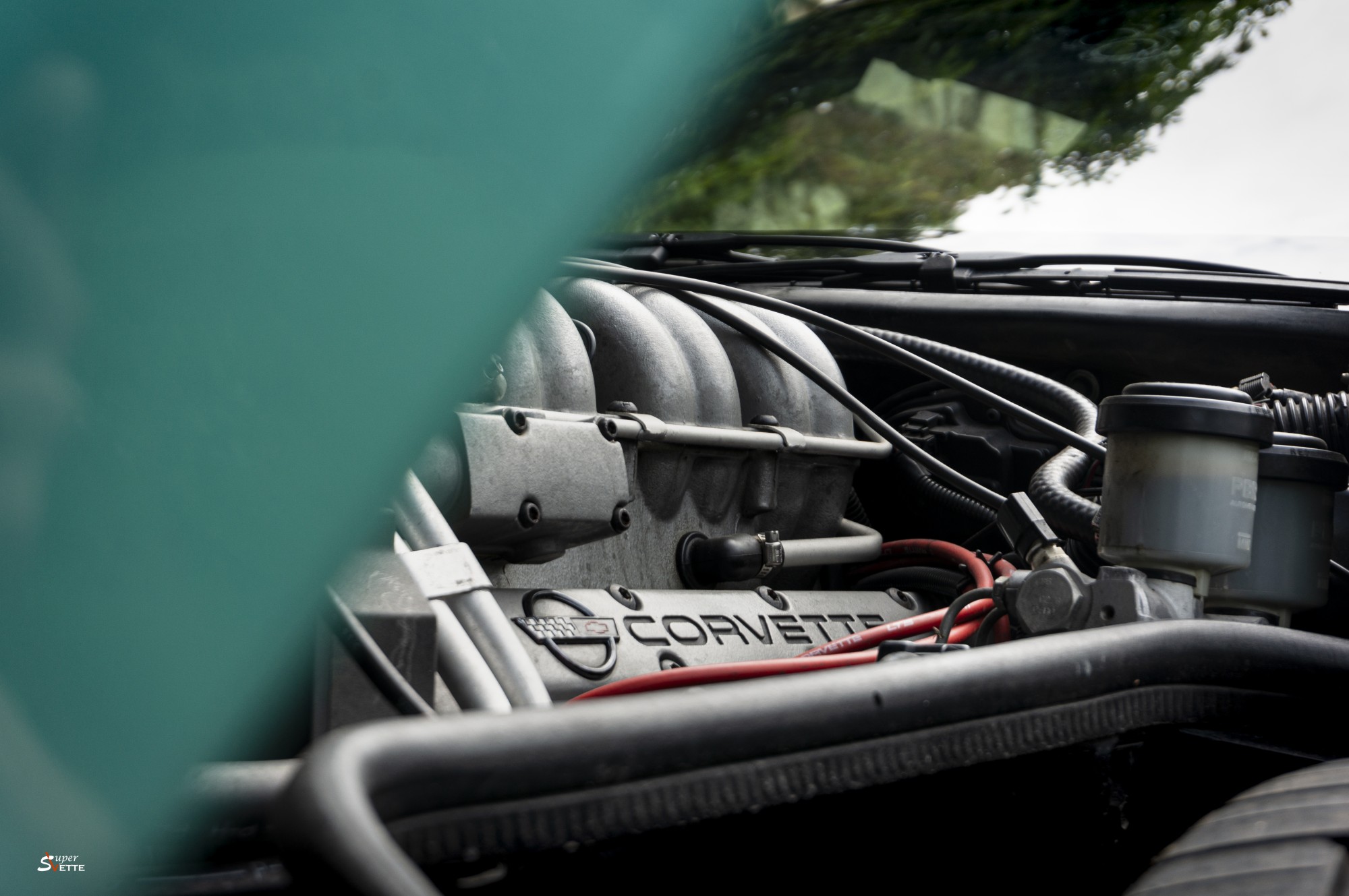 Le cœur de la bête