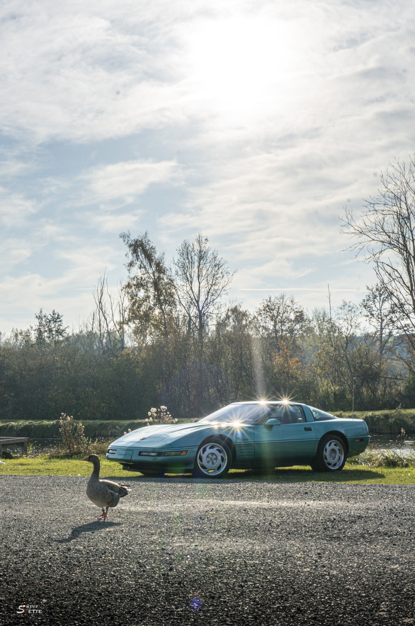 L'oie et la Corvette
