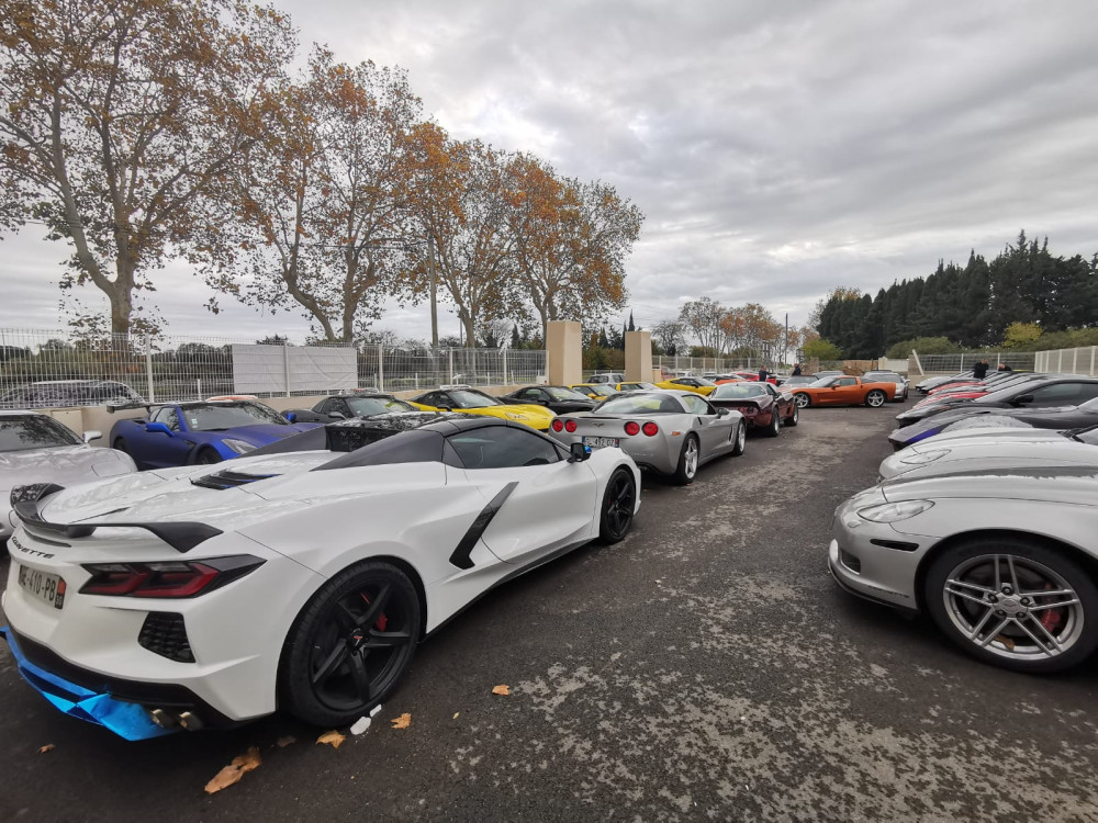 WhatsApp Image 2024-11-24 à 18.56.52_51c884fa.jpg